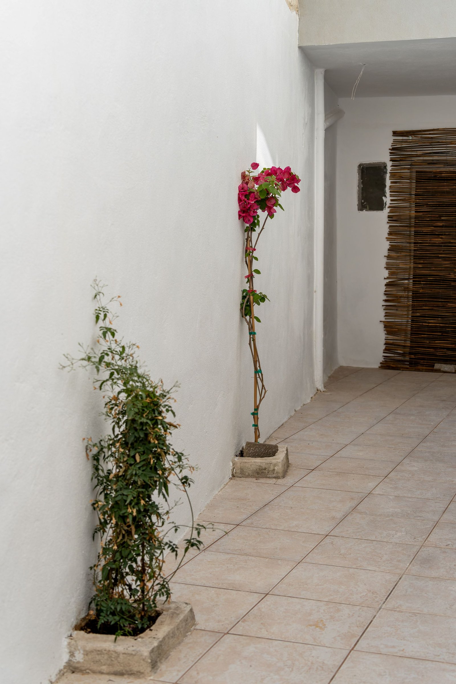 Outdoor space - Photo 2